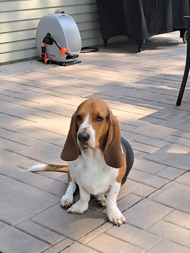 Clementine Mae