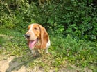 Billy loves the summer!!