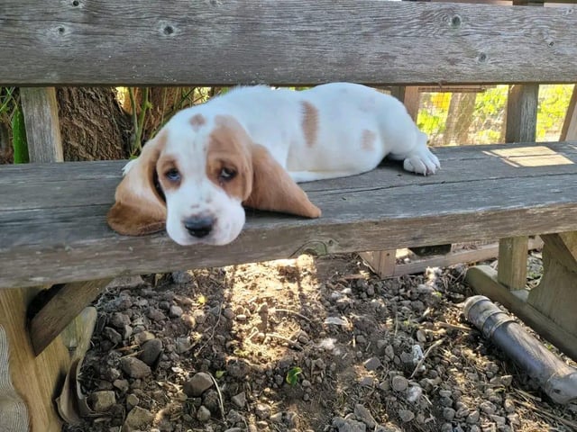 Mom! Let me rest for a little bit 😁