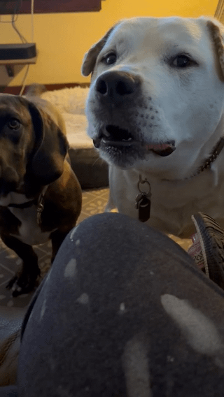 Mom come play with us